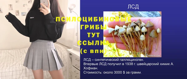 прущая мука Михайлов