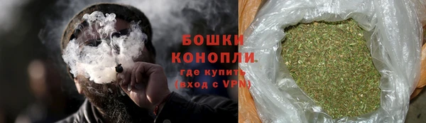 шишки Балабаново