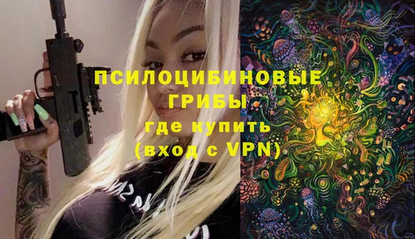 шишки Балабаново
