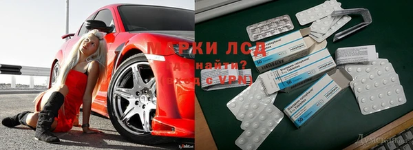 шишки Балабаново